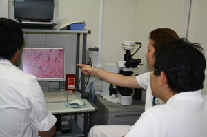 Img_3512_5 Img_3512_5