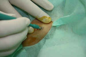 Img_3551_2 Img_3551_2