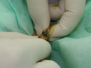 Img_3553_9 Img_3553_9