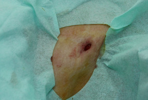 Img_3554_3 Img_3554_3