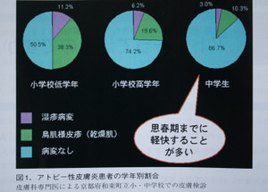 Img_4084_3 Img_4084_3