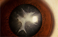 Photo_know0503 Photo_know0503