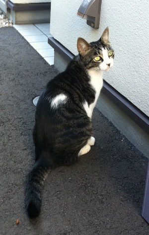 Img_0119_3 Img_0119_3