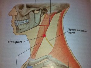 Img_0496_2 Img_0496_2