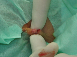 Img_4246_3 Img_4246_3