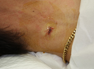 Img_4248_3 Img_4248_3