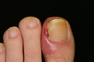 2_1333713090002 2_1333713090002