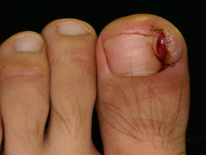 2_1414980960001_3 2_1414980960001_3