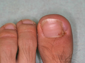 3271498096_4 3271498096_4