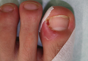 Img_3958_3 Img_3958_3