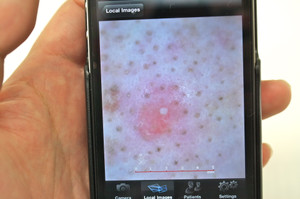 Img_4946_3 Img_4946_3