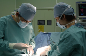 Img_5229_2 Img_5229_2