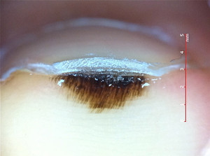 03d1f5040bae4f168f346d9d6bda87b2 03d1f5040bae4f168f346d9d6bda87b2