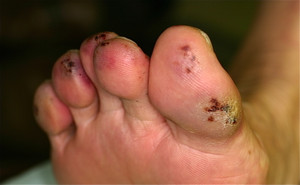 3_1133767790001_2 3_1133767790001_2