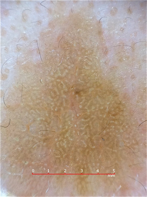 D062e8cb79bf4dd1888ee0b5b5afdfca D062e8cb79bf4dd1888ee0b5b5afdfca