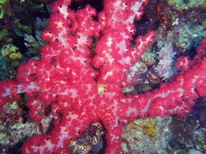 190836_185482024826249_1350645432_2 190836_185482024826249_1350645432_2