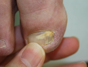 Img_6268_4 Img_6268_4