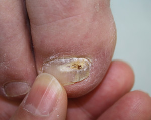 Img_6269_2 Img_6269_2