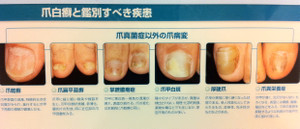 Img_0905_3 Img_0905_3