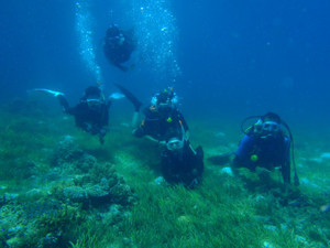 60990_146860698688382_1350645432013 60990_146860698688382_1350645432013