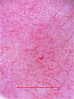 4358d764636e4d64b2f29e5401d13e8e_2