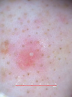 5f3c9770fb6c499892f5e4a753f4c719_2