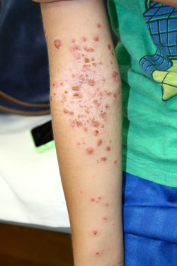 Img_8563_2 Img_8563_2