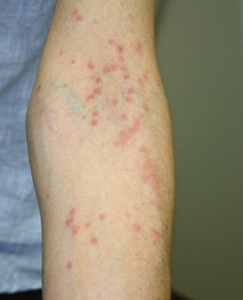 Img_6895_2 Img_6895_2