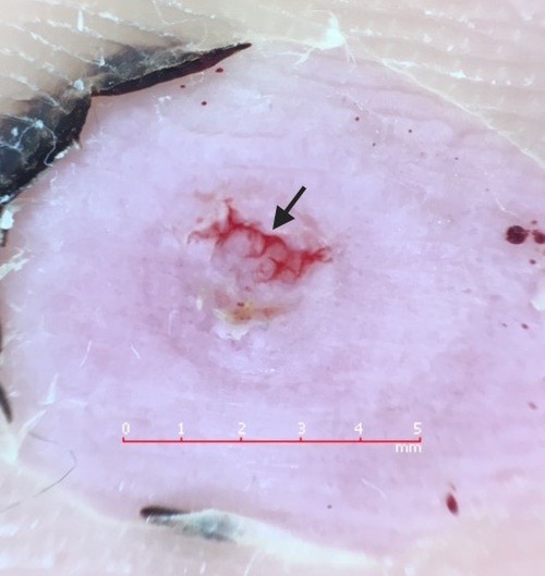 Eeab69ac493d4b08a9a76ce0713ec218__4 Eeab69ac493d4b08a9a76ce0713ec218__4