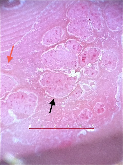 9244d545792d4effaf8fcb365747f2dc_2 9244d545792d4effaf8fcb365747f2dc_2