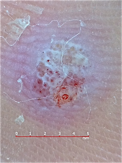 9f3886689e7e40a098f53dd8ed8748eb_2 9f3886689e7e40a098f53dd8ed8748eb_2