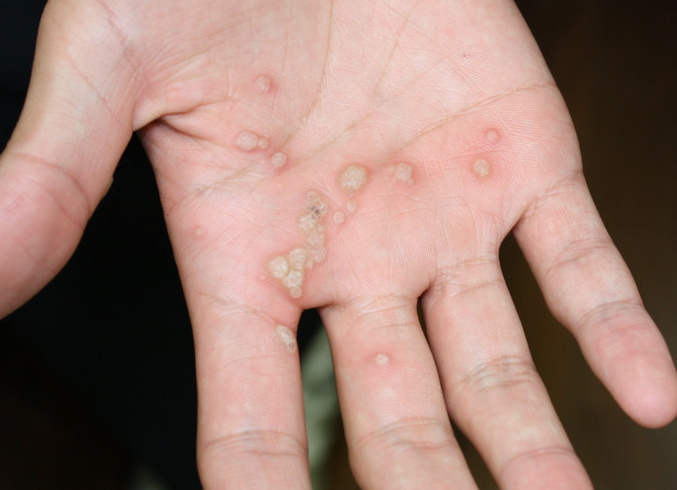 Img_6501_4 Img_6501_4