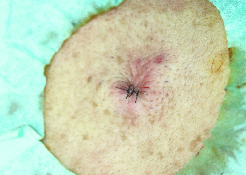 Img_0462_2 Img_0462_2