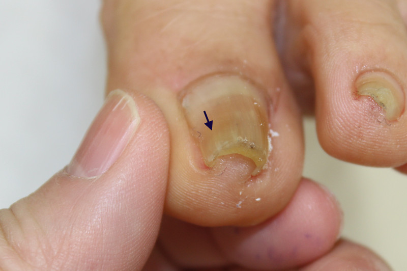 Img_0464_2 Img_0464_2