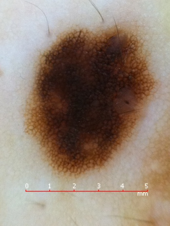 3ccdfdbec7064ab4957f641ff6e914c7 3ccdfdbec7064ab4957f641ff6e914c7