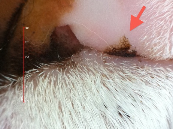 Cc39e1f09ce641769d6d116e2d74f15b Cc39e1f09ce641769d6d116e2d74f15b