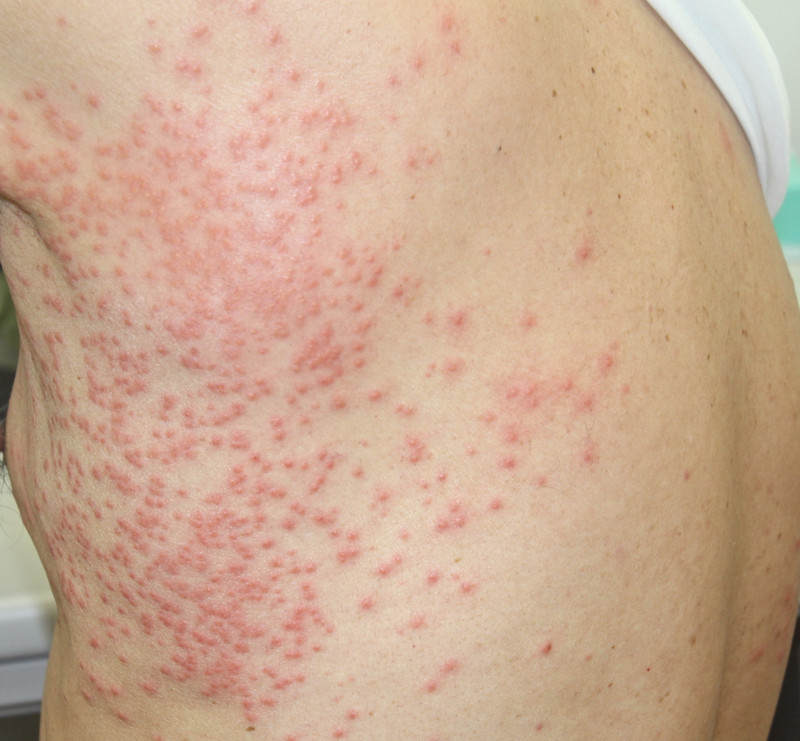 Img_1966_2 Img_1966_2