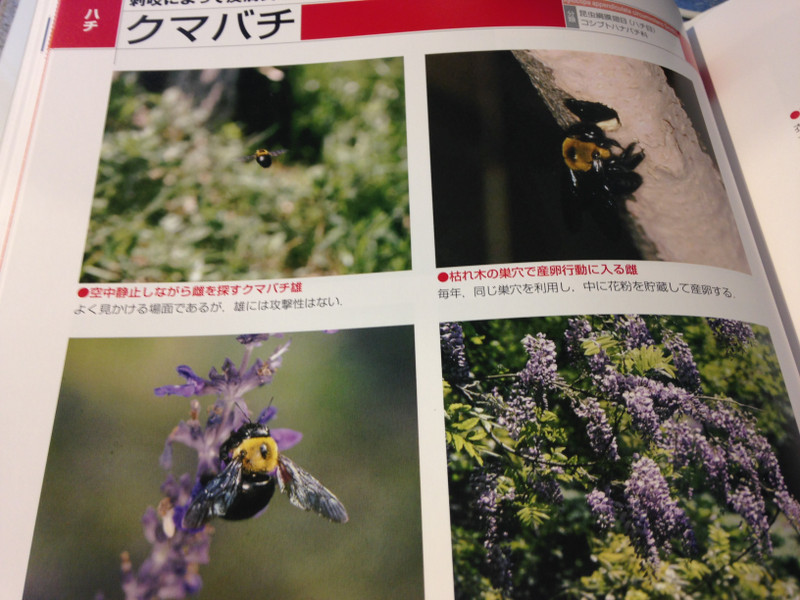 Img_0193_2 Img_0193_2