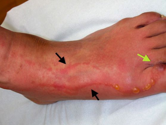 Img_8877_2 Img_8877_2