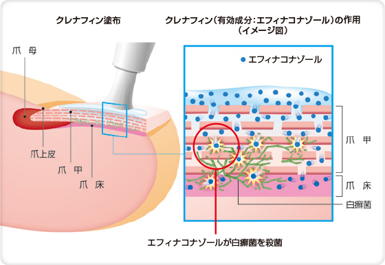 Character_img01 Character_img01