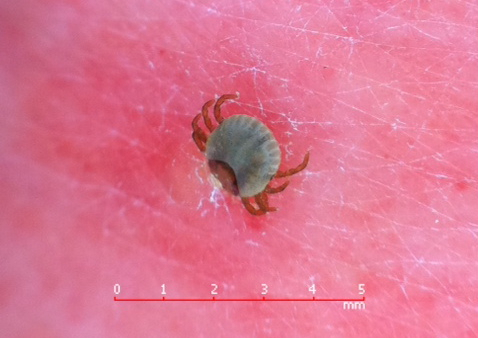 Edbbda41275647f19a82a1526c398a4f_2 Edbbda41275647f19a82a1526c398a4f_2