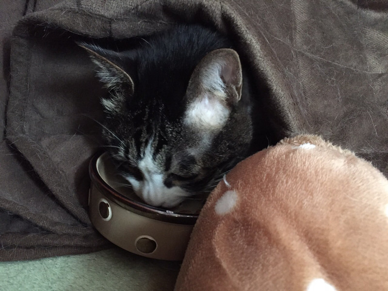 Img_7014_2 Img_7014_2