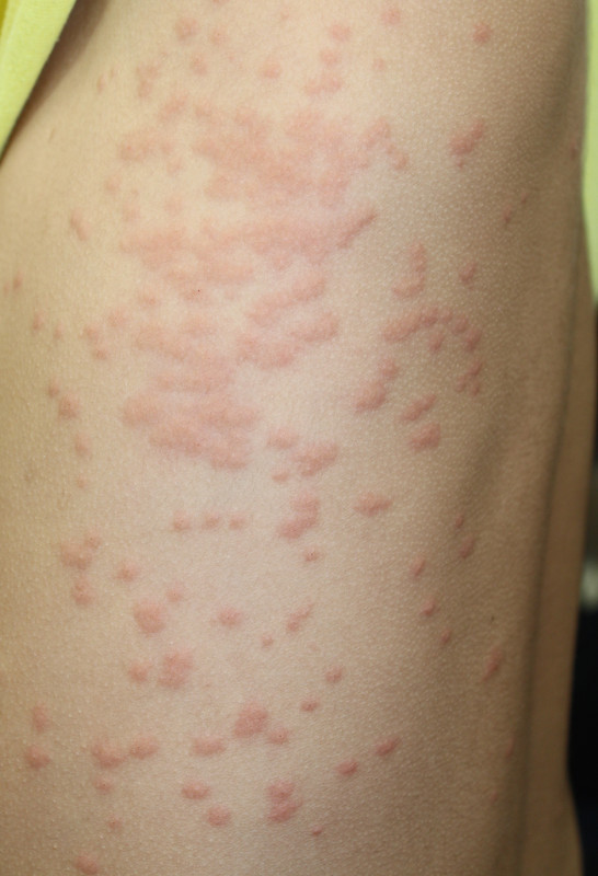 Img_4847_2 Img_4847_2