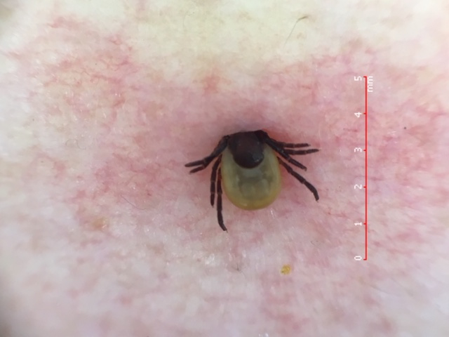 A1984363337e4162a0ccd7897414642e