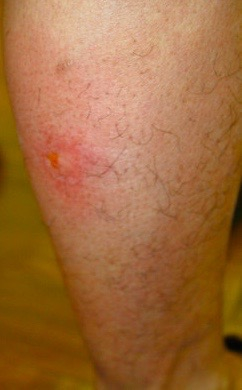 Img_6907_3_1 Img_6907_3_1