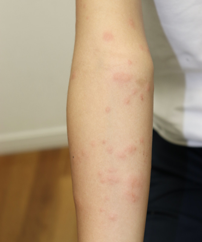 Img_0841_2 Img_0841_2