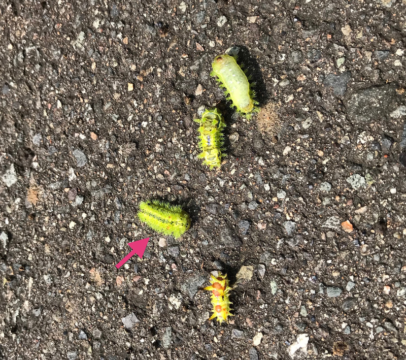 Img_4348_2 Img_4348_2