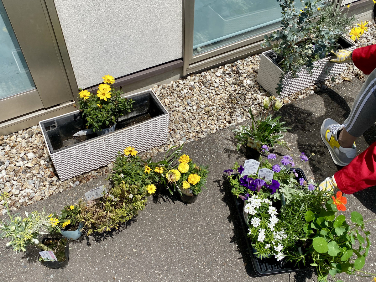 4766166b78944552838bee56cc33bf46_1 4766166b78944552838bee56cc33bf46_1