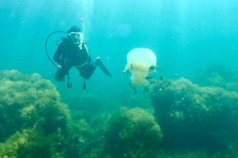 4ab97dd00fc347b68af421bde6052e32_2 4ab97dd00fc347b68af421bde6052e32_2