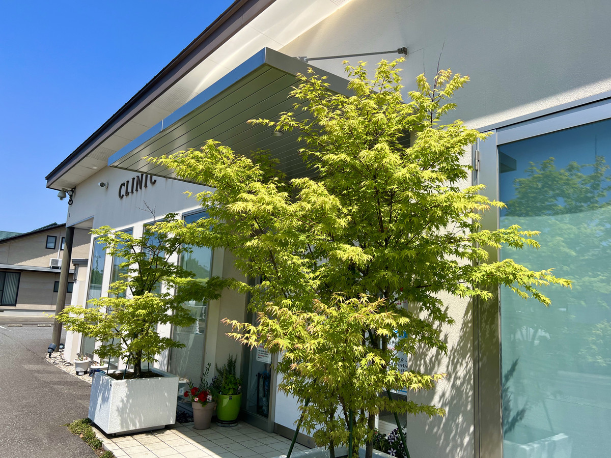 5ce7880d65384e5dae618237de732ccd_1